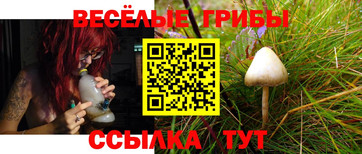 МЕФ  Каннабис  ЭКСТАЗИ  Альфа ПВП СОЛЬ   Кокаин  Вход с VPN  NBOMe  Орехово-Зуево  Меф МЯУ МЯУ   ГАШИШ 