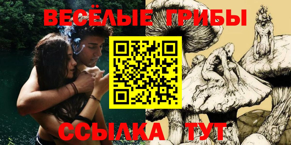 хочу наркоту  Галлюциногенные грибы Magic Shrooms  Вход с VPN  Галлюциногенные грибы прущие грибы  Орехово-Зуево 